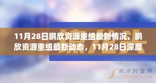 11月28日深度解析，鹏欣资源重组最新动态与情况