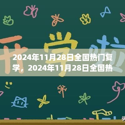 全国热门复学现象深度分析与个人观点，2024年11月28日全国复学热潮