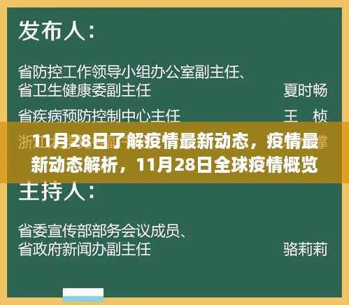 11月28日全球疫情最新动态解析，关键信息与概览