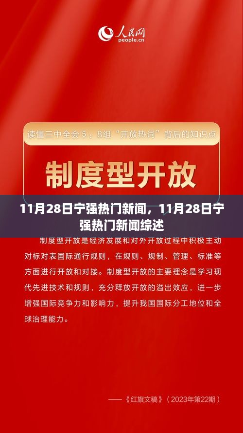 11月28日宁强热门新闻一览及综述