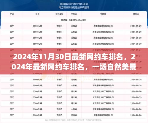 2024年网约车排名发布，自然美景下的探索之旅