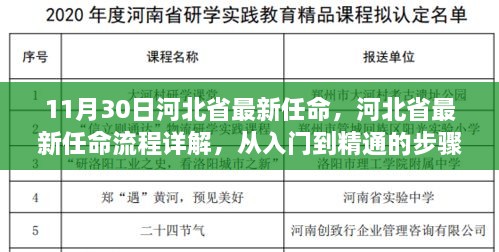 河北省最新任命流程详解，从入门到精通的步骤指南