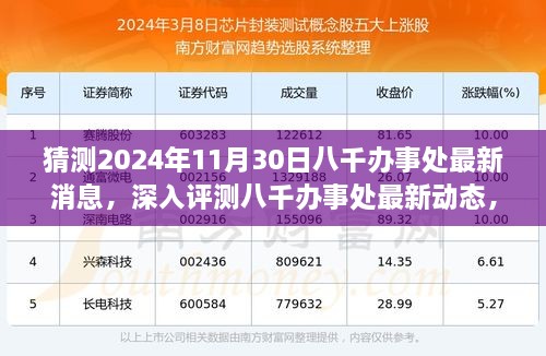 独家解读，八千办事处最新动态与未来展望，2024年11月30日深度评测报告