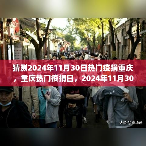 2024年11月 第15页