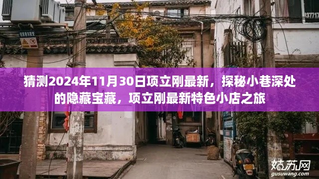 探秘小巷深处的隐藏宝藏，项立刚最新特色小店之旅（2024年11月30日最新）