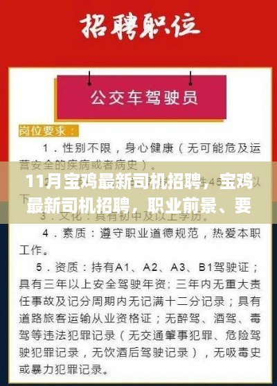 宝鸡最新司机招聘，职业前景、要求及应聘指南全解析