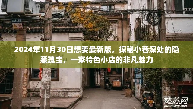 探秘小巷深处的隐藏瑰宝，特色小店的非凡魅力（最新版，2024年11月30日）