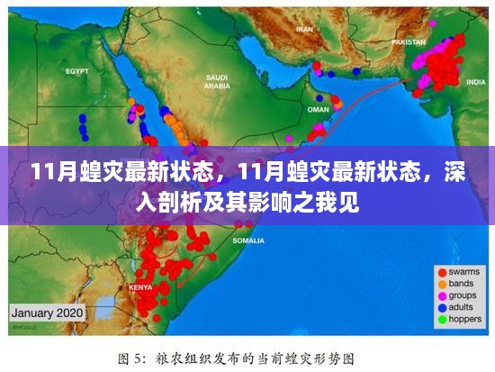 11月蝗灾最新状态深度剖析及其影响之我见