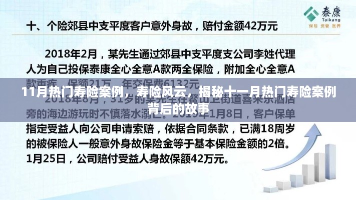 揭秘十一月热门寿险案例背后的风云故事