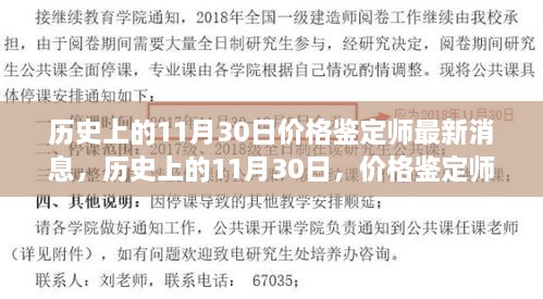 历史上的11月30日价格鉴定师动态，新纪元与深度影响洞察