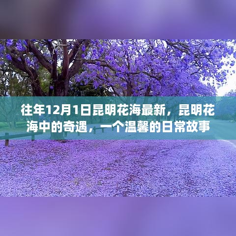 昆明花海奇遇，温馨日常故事开启新篇章