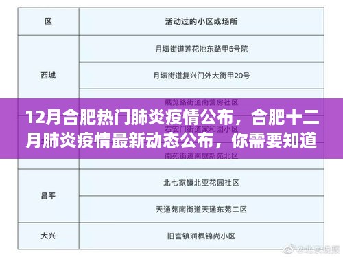 合肥十二月肺炎疫情最新动态全解析，你需要知道的一切