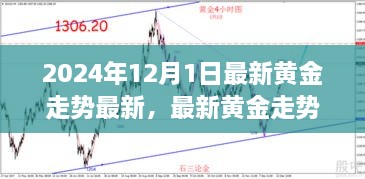 2024年黄金走势展望，最新动态与未来趋势解析