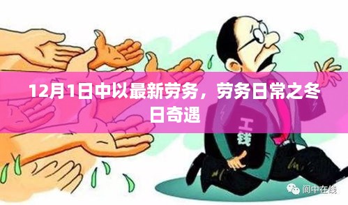 冬日奇遇，中以最新劳务日常揭秘