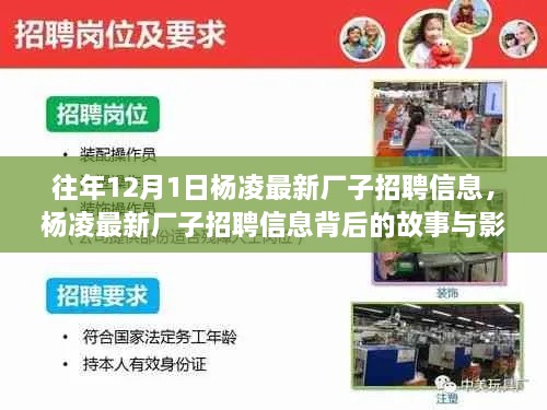 杨凌最新招聘动态，揭秘最新招聘信息背后的故事与时代印记影响