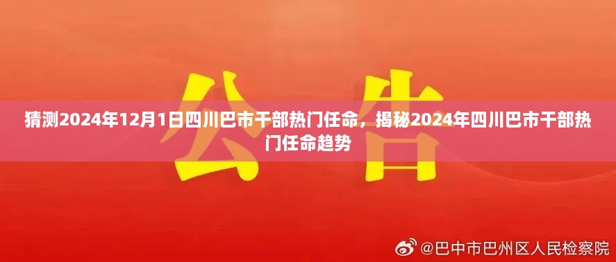 揭秘四川巴市干部热门任命趋势，预测2024年12月新任名单及趋势分析