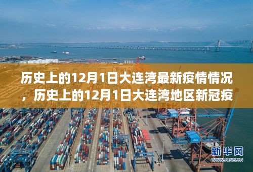 历史上的12月1日大连湾地区疫情深度解析与最新疫情情况概览