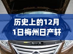 2024年12月 第617页