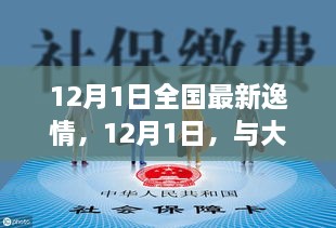 12月1日全国最新疫情与大自然共舞，寻找内心平静的奇妙旅行