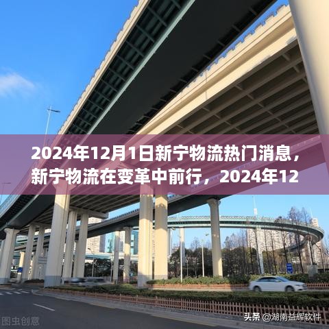 新宁物流变革前行，深度解析最新热门消息