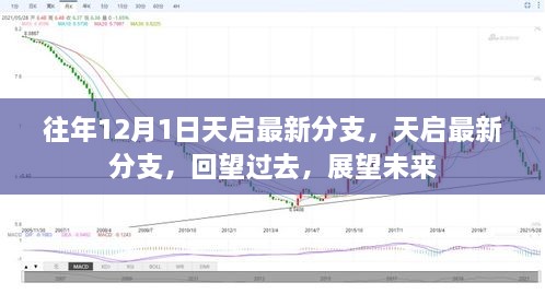 天启最新分支回望与前瞻，过去与未来的交汇点