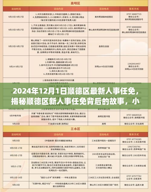 揭秘顺德区人事任免背后的故事，新人事名单揭晓与小巷特色小店探秘之旅（2024年12月版）