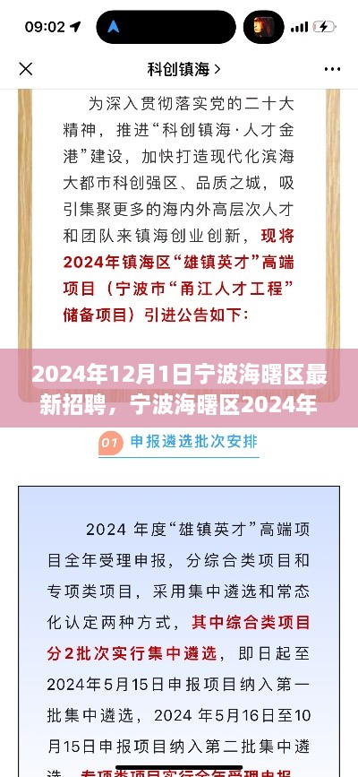 宁波海曙区2024年招聘盛况，人才汇聚，共创未来新篇章