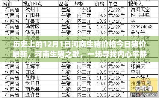 河南生猪价格动态，今日猪价与绿色平静之旅探索