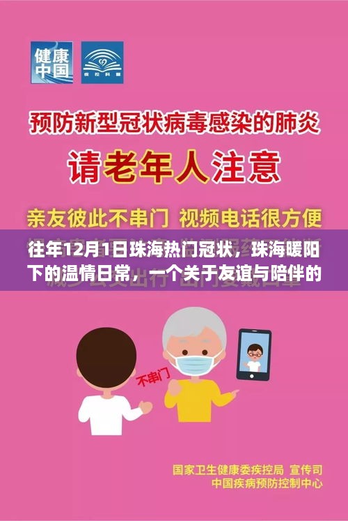 珠海暖阳下的温情日常，友谊与陪伴的故事，历年十二月一日的热门冠状之旅