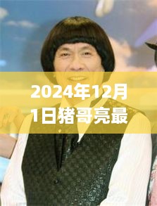 2024年12月2日 第9页