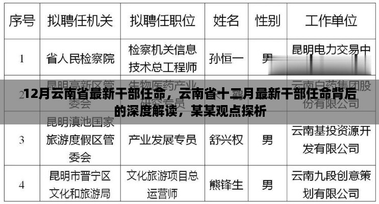 云南省十二月最新干部任命背后的深度解读与探析某某观点