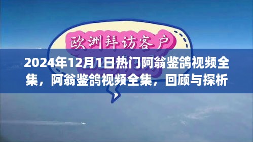 阿翁鉴鸽视频全集回顾与探析，2024年热门鉴鸽视频概览