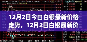 2024年12月3日 第23页