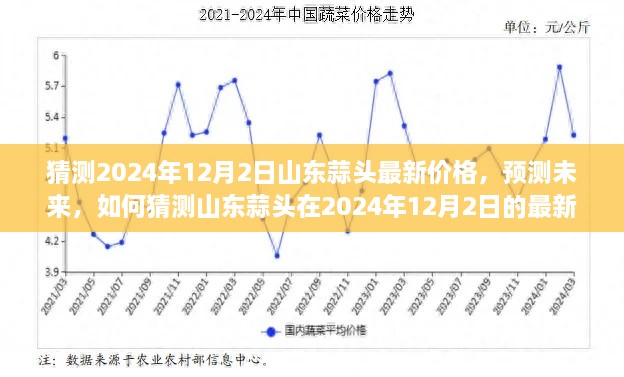 2024年预测，山东蒜头最新价格分析与展望