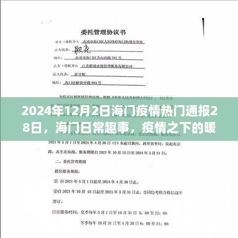 海门暖心时光，疫情通报与日常趣事分享（2024年12月）