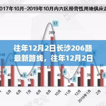 往年12月2日长沙206路公交车最新路线详解及全解析