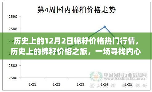 历史上的棉籽价格之旅，探寻棉花冒险的轨迹与内心平静之路