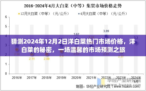 洋白菜市场预测之旅，揭秘秘密，展望2024年12月2日的市场温情价格