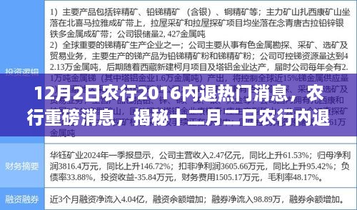 农行内退最新动态揭秘，深度解读十二月二日新动向及其背后的原因与影响