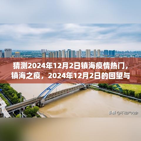 镇海之疫，回望与洞察——2024年12月2日的疫情热门分析