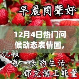 12月4日热门问候动态表情图，温暖与祝福的新传递方式