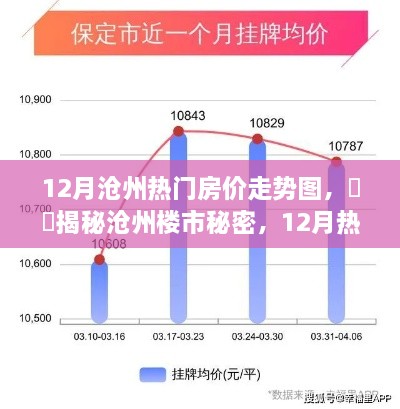 揭秘沧州楼市秘密，12月热门房价走势深度解析图