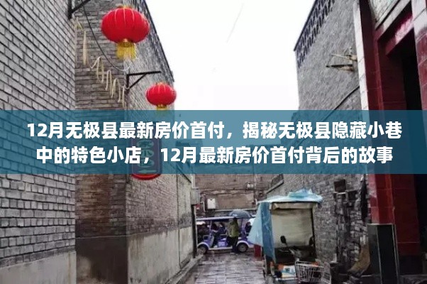 揭秘无极县隐藏小巷特色小店与最新房价首付背后的故事