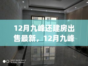 12月九峰还建房出售最新动态及市场走势多元观点探讨