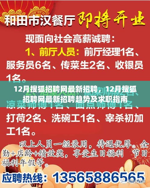 12月搜狐招聘网最新招聘信息及趋势分析与求职指南