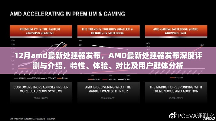 AMD最新处理器发布深度解析，特性、体验、对比及用户群体分析