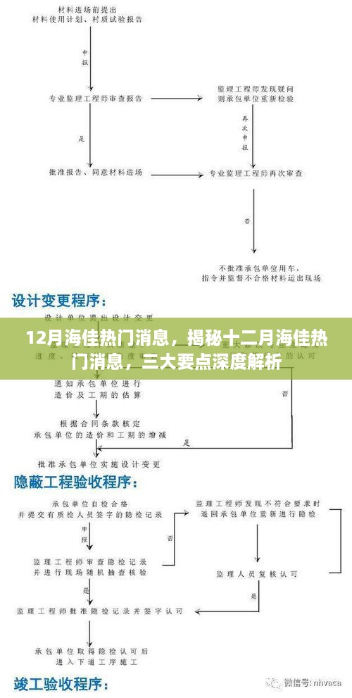 揭秘十二月海佳热门消息的三大要点深度解析