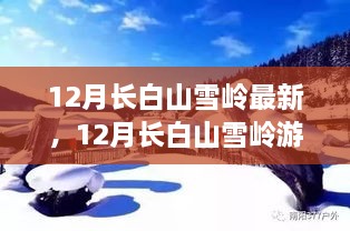 揭秘十二月长白山雪岭的魅力与争议，最新游玩指南