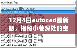 2024年12月5日 第9页