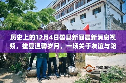 雄县历史新闻回顾，十二月四号友谊与陪伴的温馨岁月视频报道